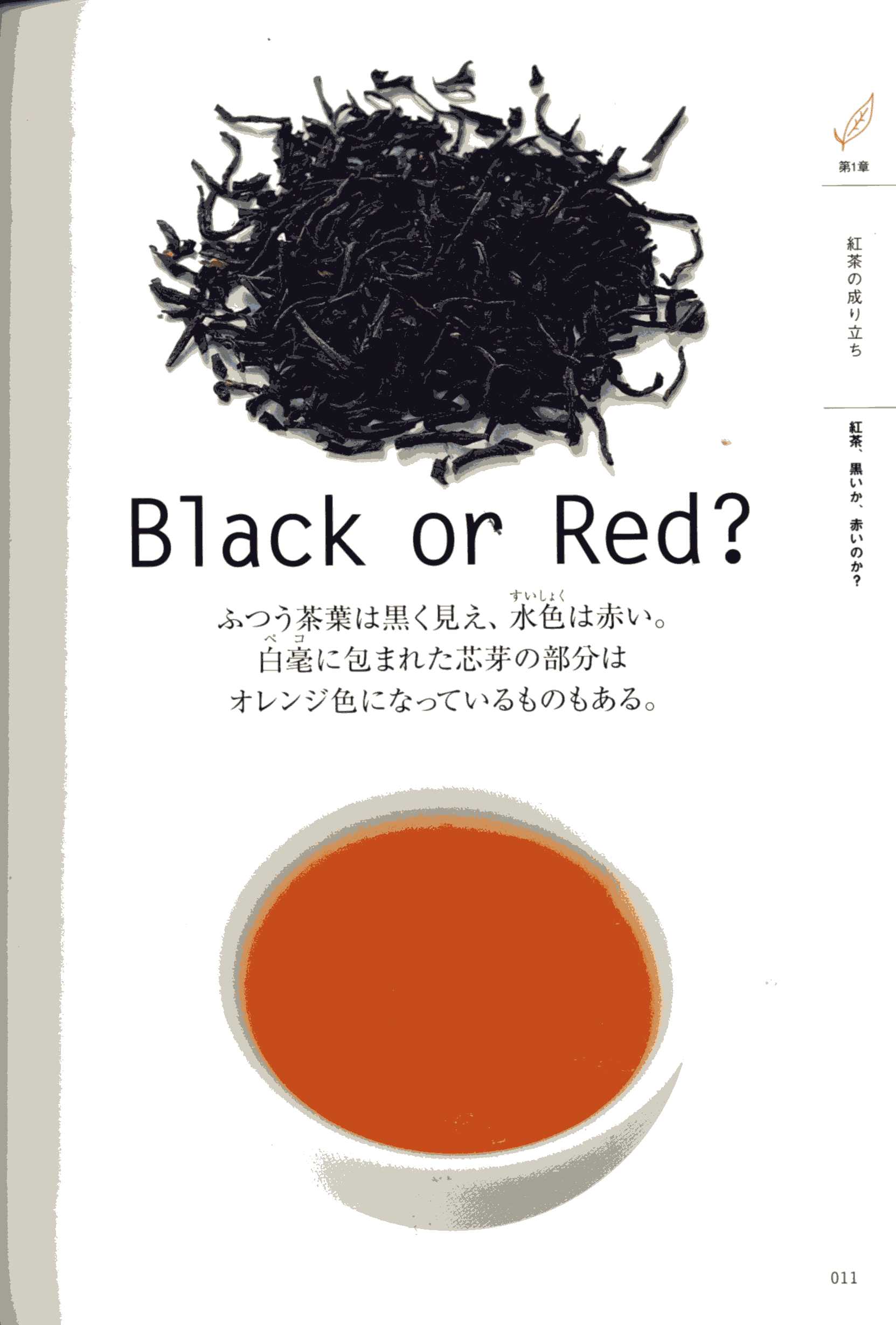 Black or Red