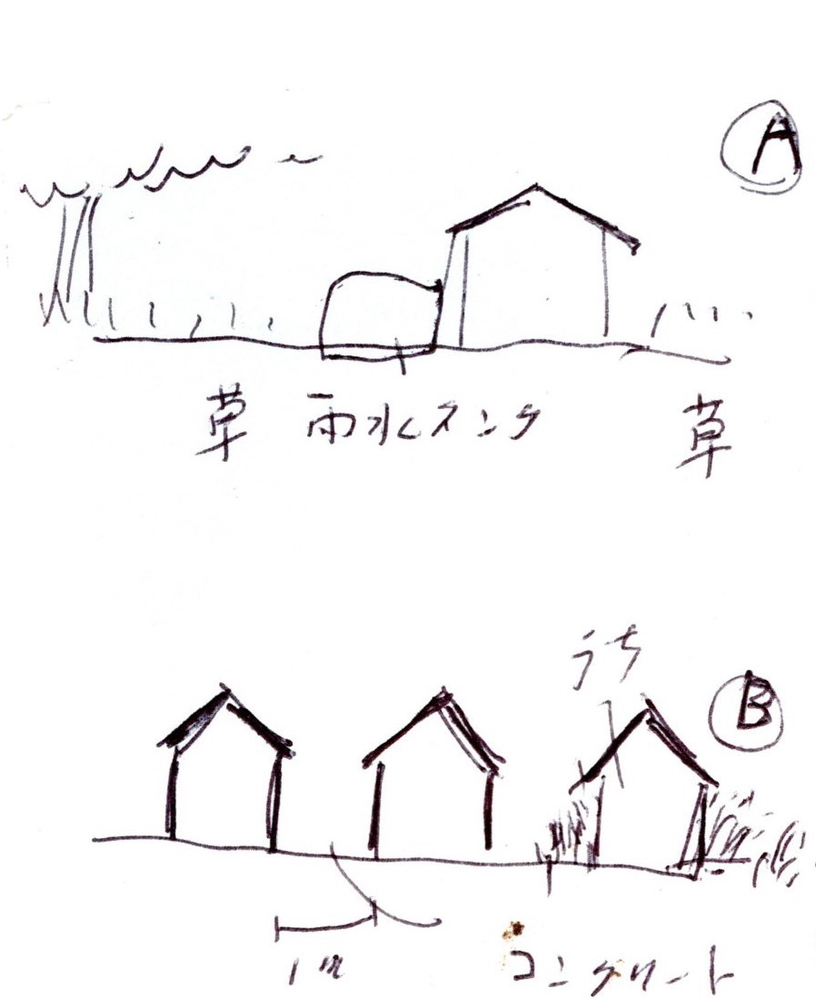 海辺のうづらさんの家