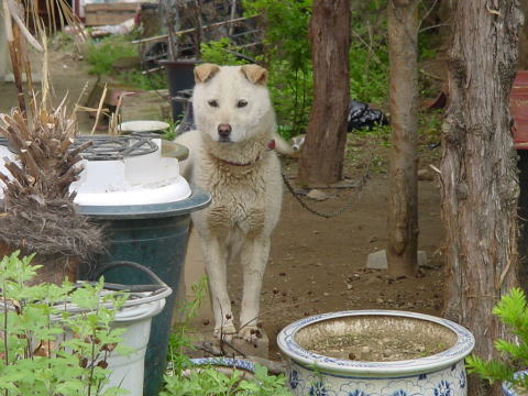 ���������ȶ����ٲȤθ�