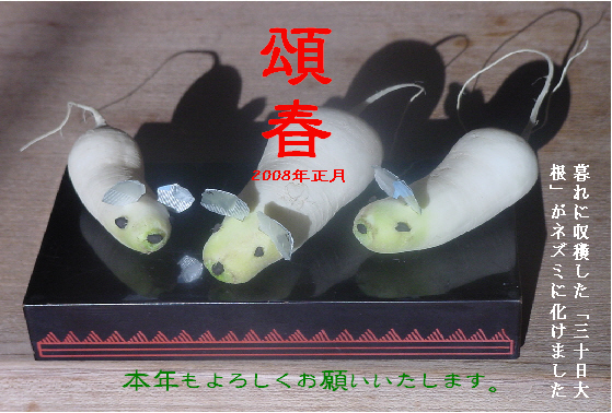 �纬�ͥ���