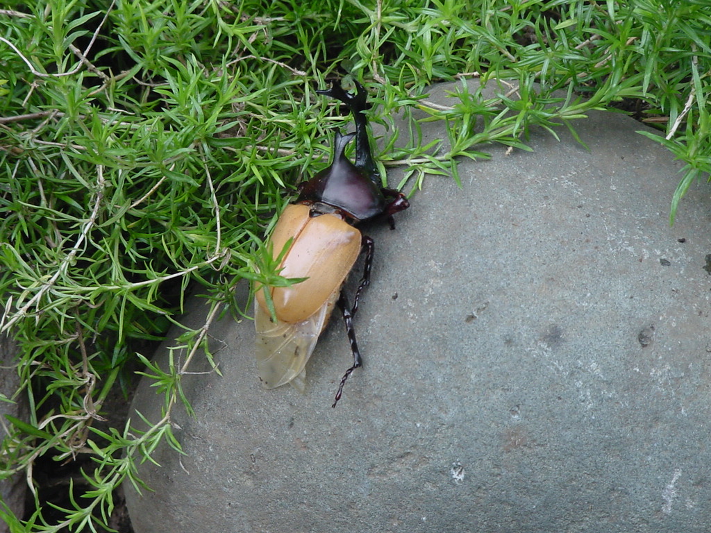 ���֤���