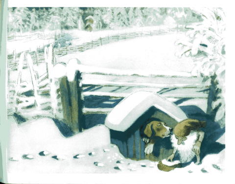 �ȥ�Ƥȸ��Υ�����