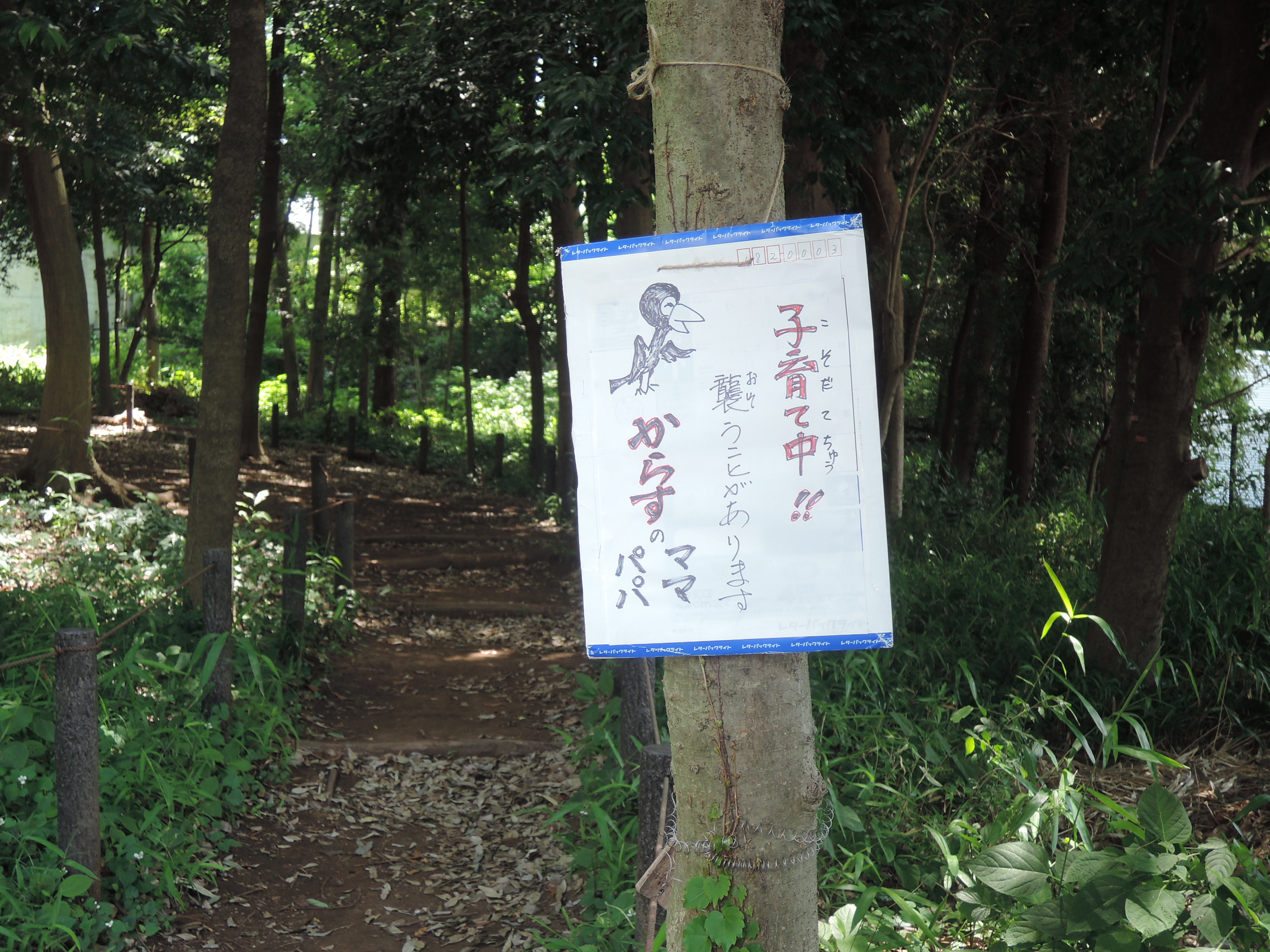 ���դο��֤��餹�Ұ�����