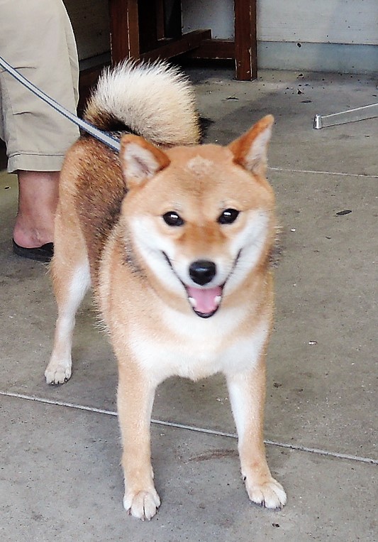 ������101��ǯ���٥�ȡ֤��������������̤Ϥʤ����