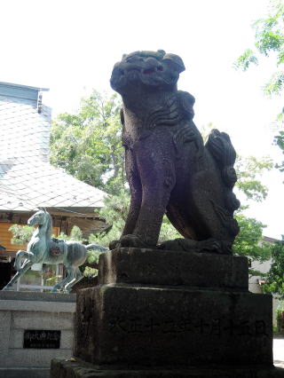 �Ŀ�������������ȬȨ�ܡ���������