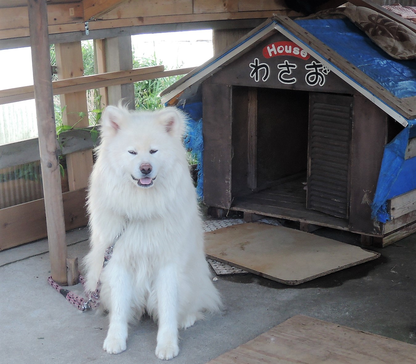 �������������%40�蘆���ξ�������