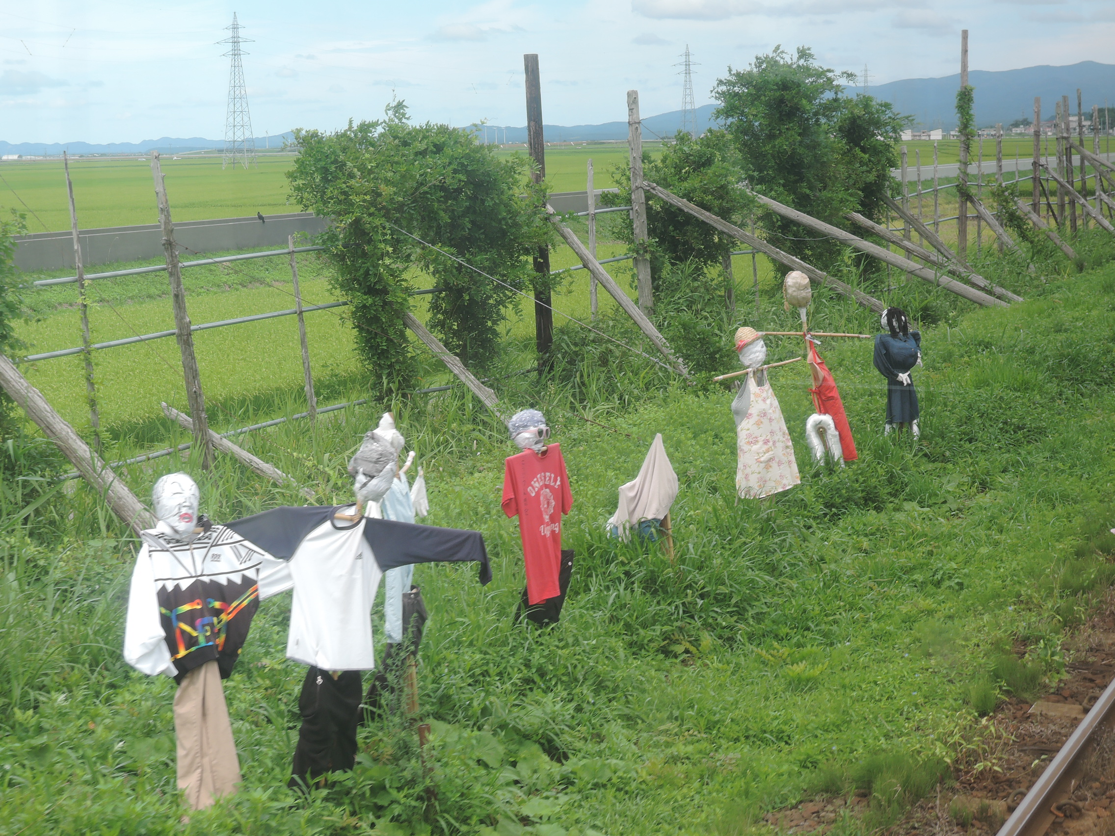 �ŷ�Ŵƻ�����ΰƻ���