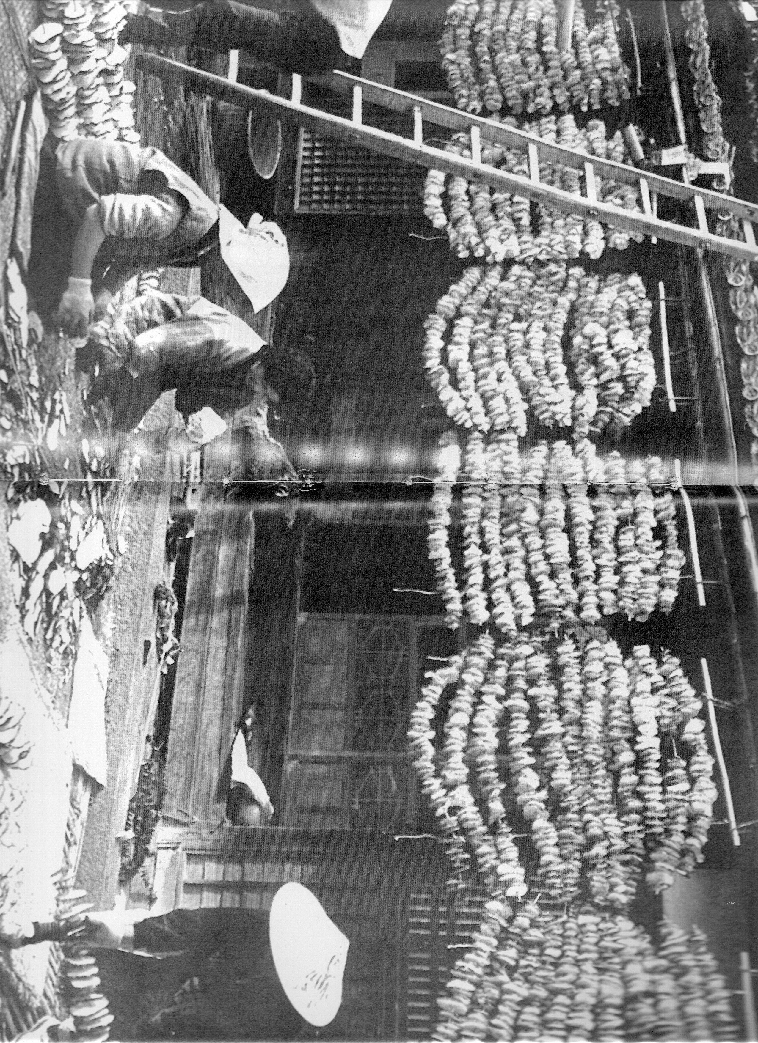 『保存版昭和写真大全峡東』「コンニャクの切干①（山梨市（牧丘町）昭和38年」