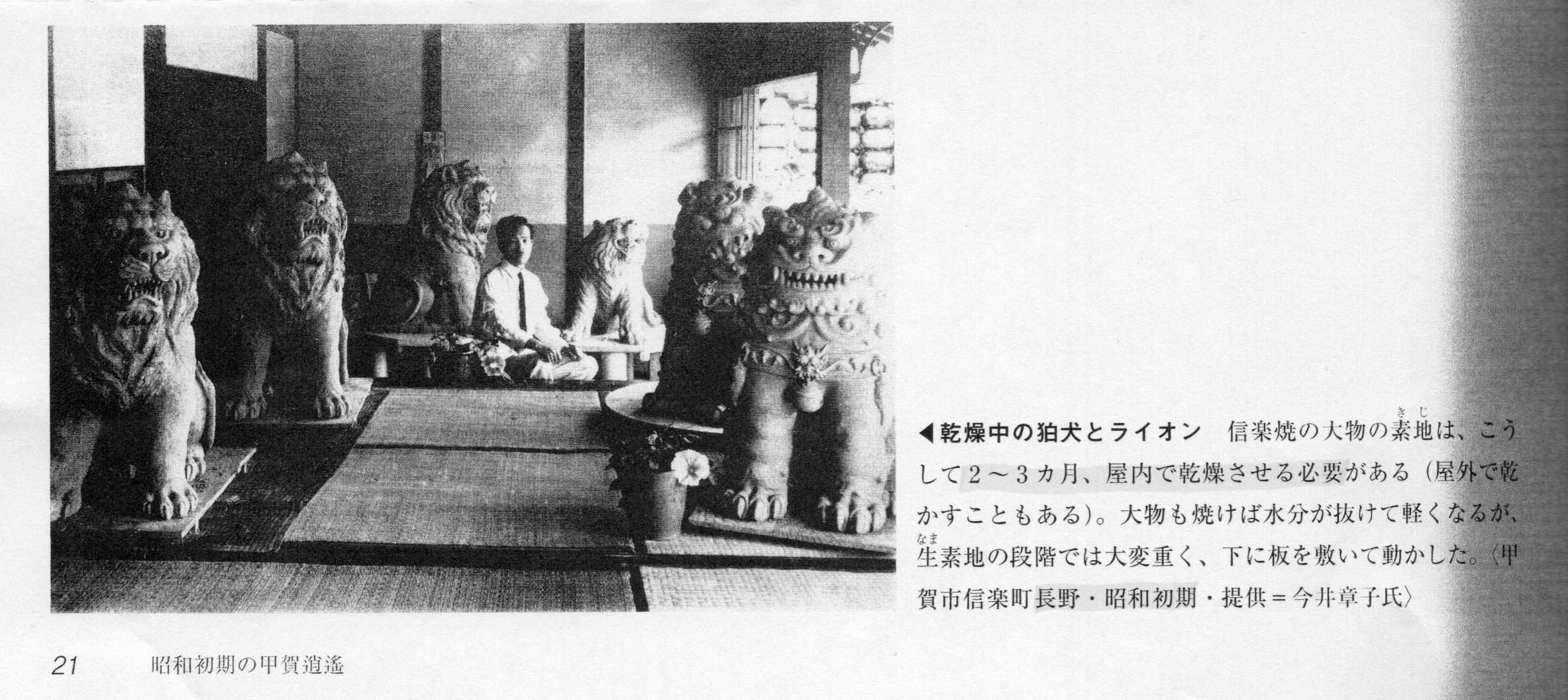 乾燥中の狛犬とライオン」