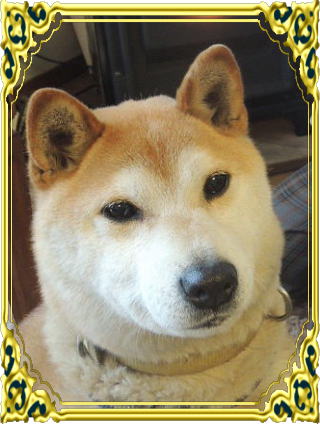 �����@�O��